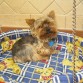 kodak con su plaquita azul !! ya somos azules xDD