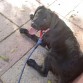 Kira 21 de mayo de paseo