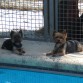 Yamila(mami) y Layka