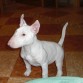 aki tansolo tenia 3 meses recien cumplidos!