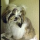 mii coosiitaaa ! 