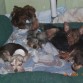 Los 3 hermanitos mas pequeños durmiendo juntos