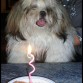 CumPleeañoos FeeLiiZ ! 