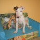 Hugo (tres meses)