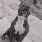 drago posando jejejee el simverguenza que es mas weno mi niño
