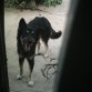 con su cara de lokito jjajajaa