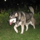 Camila en su paseo nocturno