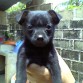 chiquititio