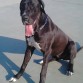 Cloe