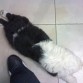 dormida en el trabajo de mi mama!!