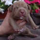 AKER 10 dias (KINA X DRAKO)