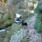 xena en la ruta del alba,asturias