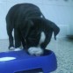 reponiendo fuerzas..