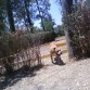 En el parque!!
