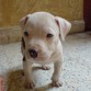 Guapo de 2 meses