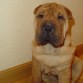 ISIDORO CON TRES MESES