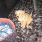 ERES!!!!!!!!PRECIOSO!!!!!!!!!!!!!!!
