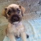 ELLA ES CASCABELITO Y PARESE QUE TRE UNA FUENTE EN SU CARITA JAJJA ESTA MENOS RARA QUE CHACHA