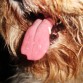 my little pink tongue....