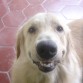 Sonrio a la camara! 