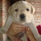 Tashy bebe!