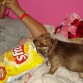 comiendo papitas lays