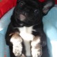 PARECES UN COXI SIMON ajajajaj