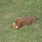 Jugando con su osito, unos de sus juguetes preferidos.