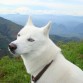 en la cima de un gran sendero