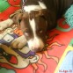 3 meESZEsz...3 diiasZ de mi ninio hermoszZOoo