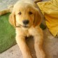 Guauuu!