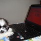 me pillaron :P