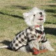 AQUI ESTOY EN MI PARQUE PREFERIDO... EN PUERTO MADERO (BUENOS AIRES), LUCIENDO UNO DE MIS VESTIDITOS. SOY MUY COQUETA