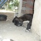 durmiendo 