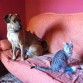 Con Kratos después de 15 días de bufidos y zarpazos