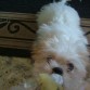 jugando con su peluchito!