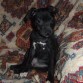 Xhena con 3 meses