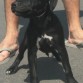 Xhena con 4 meses