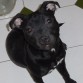 Xhena con 6 meses
