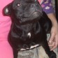 Xhena con 7 meses