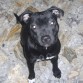Xhena con 7 meses