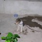 asi era cuando lo conocimos