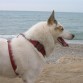 EN LA PLAYA DE NERJA