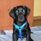 aqui tengo 4 meses.