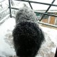 Es mi primera nevada.
Menos mal que no me han cortado el pelo.