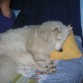 durmiendo un poquito