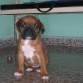 Noah con mes y 3 dias