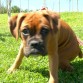 noah con 3 meses 