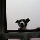 Quiero entrar!!! si pudiera volar..!! (ganas no le faltan) jajjaja