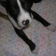 mi ÑIÑ@@@!!